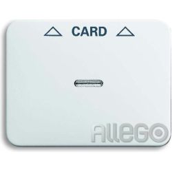 Busch-Jaeger Zentralscheibe stws gl für Cardschalte 1792-24G-101