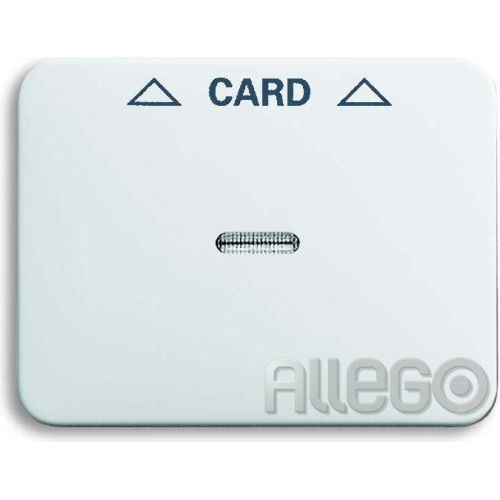 Bild: Busch-Jaeger Zentralscheibe stws gl für Cardschalte 1792-24G-101