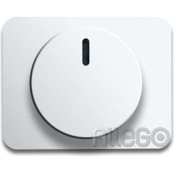 Busch-Jaeger Zentralscheibe stws gl für Drehdimmer 6540-24G