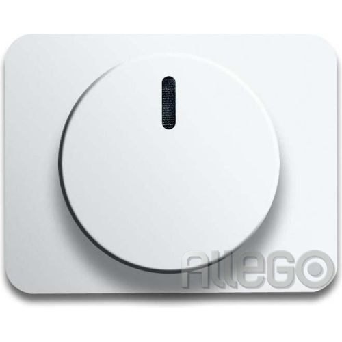 Bild: Busch-Jaeger Zentralscheibe stws gl für Drehdimmer 6540-24G