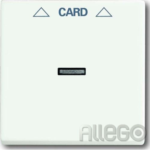 Bild: Busch-Jaeger Zentralscheibe stws mt für Cardschalter 1792-884