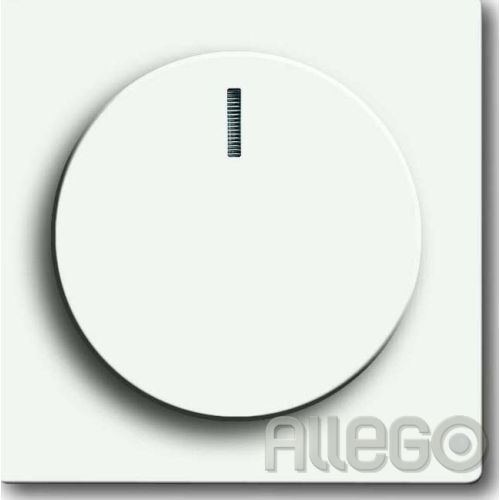 Bild: Busch-Jaeger Zentralscheibe stws mt für Drehdimmer 6540-884-102