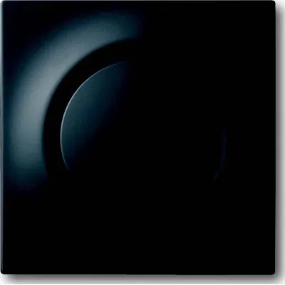 Busch-Jaeger Zentralscheibe 1786-775 | Glimmlampe | Betätigungsknopf | schwarz matt | IP20 | Thermoplast