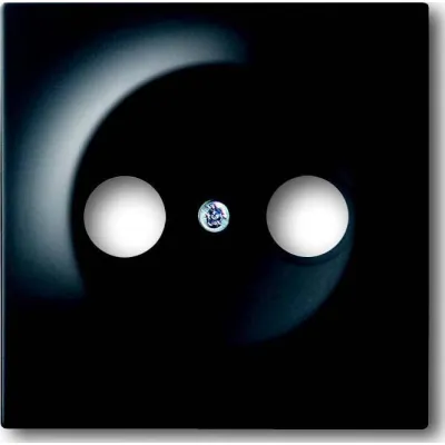 Busch-Jaeger Zentralscheibe Antennensteckdose 1743-775 | 2 Anschlüsse | Unterputz | Thermoplast | schwarz matt