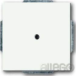 Busch-Jaeger Zentralscheibe ws Blindabd,m.Tragring 1742-884