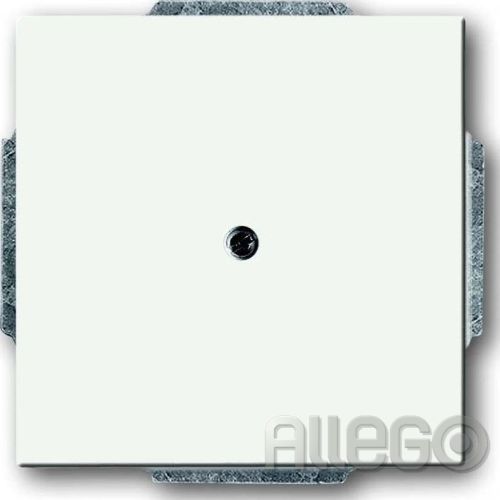 Bild: Busch-Jaeger Zentralscheibe ws Blindabd,m.Tragring 1742-884