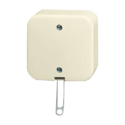 Busch-Jaeger Zugschalter Aufputz 2610/6 AP | Wechselschalter mit Zugschnur | Schraubklemmen | Duroplast | weiß