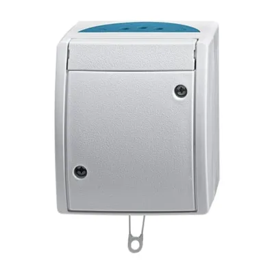 Busch-Jaeger Zugschalter | Wechselschalter Aufputz | IP44 | 10AX 250V | Thermoplast grau/blaugrün