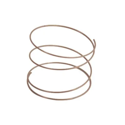 C00016035 KNEBELFEDER Indesit