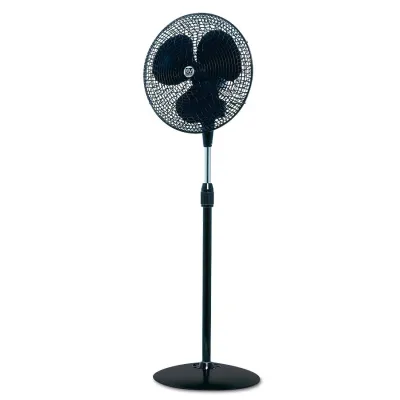 CasaFan Standventilator GORDON C 40 SW | Umluftventilator | 400 mm Durchmesser | 4000 m³/h | 40 W | schwarz