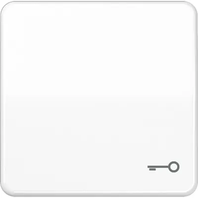 JUNG Wippe Schalter CD590TWW | Symbol Tür/Schlüssel | Duroplast glänzend | IP44 | alpinweiß