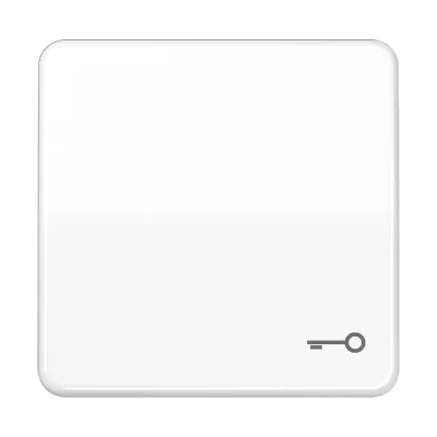 JUNG Wippe Schalter CD590TWW | Symbol Tür/Schlüssel | Duroplast glänzend | IP44 | alpinweiß