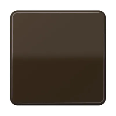 Jung Wippe Schalter/Taster CD590BR | CD500 Serie | Duroplast glänzend | IP44 | für Bussystem | braun