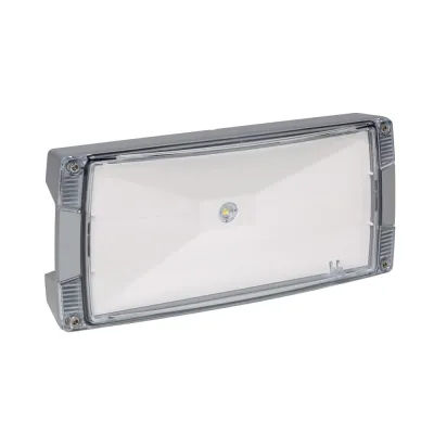 Eaton CEAG Sicherheitsleuchte Atlantic LED II O CG-S | 3,9W 260lm 6000K | IP66 IK09 | Deckenanbau | Grau