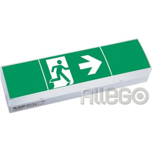 Bild: Ceag Einzelbatterieleuchte LED 40071354820 mit automatischem FunktionstestCeag E
