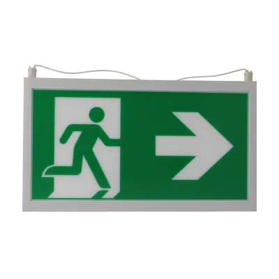CEAG LED-Piktogrammscheibe 40071354533 | Rettungsweg | zweiseitig | GuideLed | ISO 7010 | 30m | Acrylglas | 325x185x12mm
