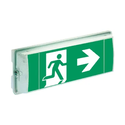 CEAG LED Notleuchte 6811 1-8h/D CGLine+ | Einzelbatterie | Rettungswegbeleuchtung IP65 | 6500K | 6,6W | weiß