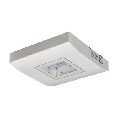 CEAG LED-Sicherheitsleuchte GuideLed SL 13812.2 | 4,1W | 290lm | 4000K | IP40 | Deckenmontage | weiß