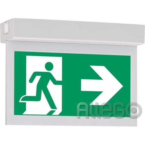 Bild: CEAG Notl. LED-Einzelbatterie-Leuchte m. 10821 1-8/D CGLine+