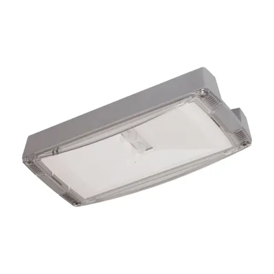 Eaton Atlantic LED-Sicherheitsleuchte | CGLine+ | IP65 | 3,2W | 220lm | Deckenanbau | Aluminium Grau | Einzelbatterie