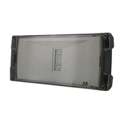 CEAG LED-Einzelbatterieleuchte Atlantic 40071354870 | Notbeleuchtung IP65 | 1–8h | Wandanbau | 24m | Aluminium grau