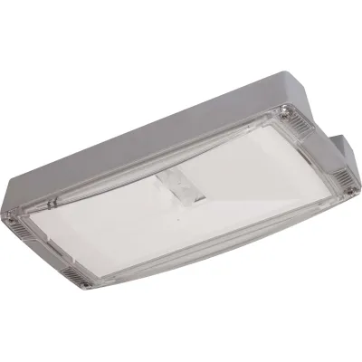 CEAG LED-Notleuchte Atlantic O | 1-8h | CGLine+ H | 9,3W | 6500K | IP65 | IK10 | Grau | Deckenanbau | 40071354878