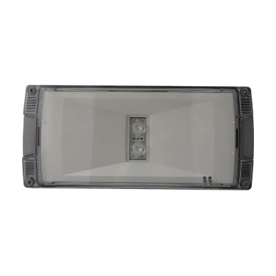 CEAG LED-Notleuchte Atlantic O | 1-8h | CGLine+ H | 9,3W | 6500K | IP65 | IK10 | Grau | Deckenanbau | 40071354878