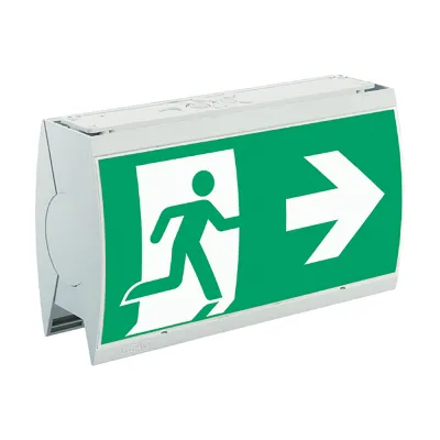 CEAG LED Rettungszeichenleuchte Style II 22021 CG-S | Deckenanbau | Zentralbatterie | 800lm 6500K | 32m | grau
