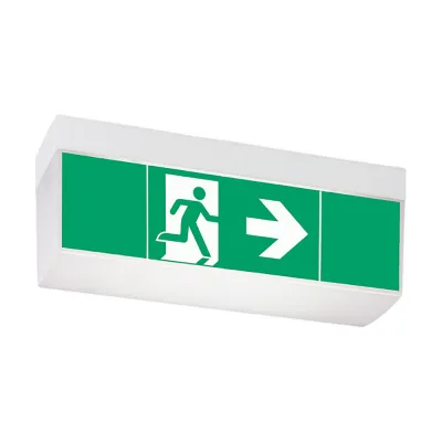 CEAG LED Rettungszeichenleuchte Style II 51021 CG-S | 800lm | 17m Erkennungsweite | Notbeleuchtung | grau
