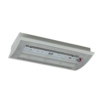 CEAG LED-Sicherheitsleuchte Style II 22011 LED SL CG-S | Rettungswegbeleuchtung | Deckenanbau | 4,4W 320lm 6500K | grau