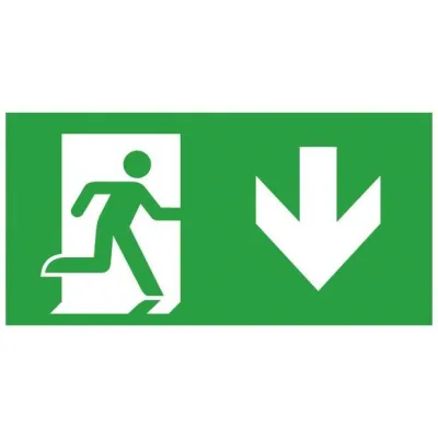 CEAG Notlicht Piktogramm 155-000-013 | Rettungsweg Pfeil unten | Einlegeblatt für Atlantic LED S | ISO 7010 | 24m