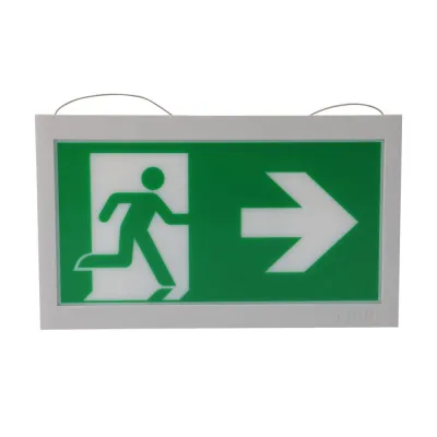 Eaton CEAG LED-Piktogrammscheibe 40071354510 | Rettungsweg beidseitig | Pfeil links/rechts | 20m | Seilmontage