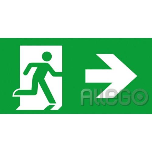 Bild: CEAG Notl. Piktogrammscheibe 2-seitig LED PR/BL 40071354506