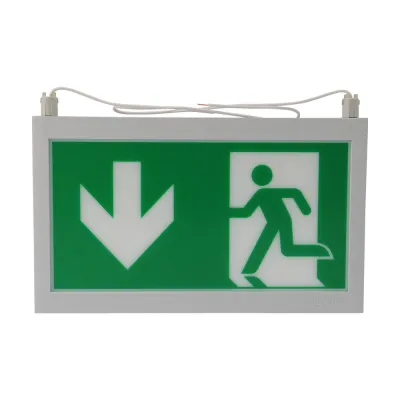 CEAG LED-Piktogrammscheibe 40071354507 | Rettungsweg | doppelseitig | Pfeil unten/blind | 20m Erkennungsweite