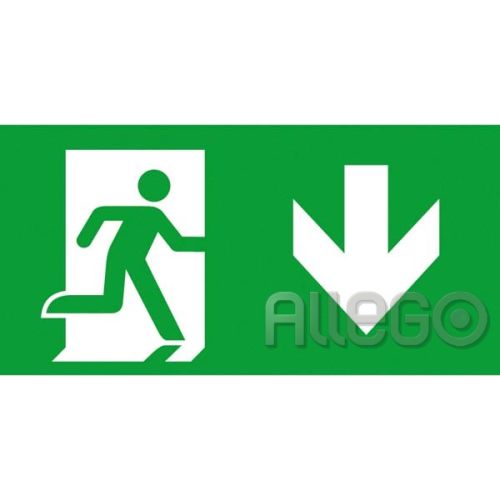 Bild: CEAG Notl. Piktogrammscheibe 2-seitig LED PU/BL 40071354507
