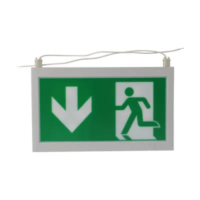 CEAG LED-Piktogrammscheibe Rettungsweg beidseitig | Pfeil unten | 20m | Acrylglas | ISO 7010