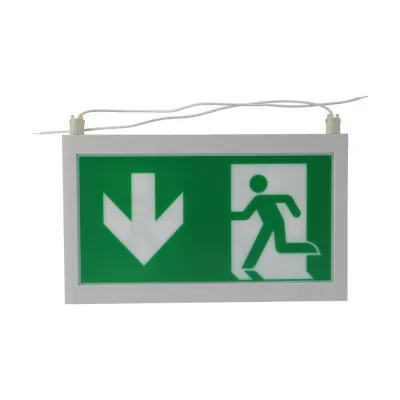 CEAG LED-Piktogrammscheibe Rettungsweg beidseitig | Pfeil unten | 20m | Acrylglas | ISO 7010