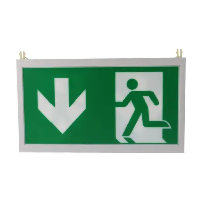 CEAG Notl. Piktogrammscheibe 2-seitig LED PU/PU 40071354534