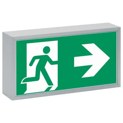 CEAG Notl. Rettungszeichenleuchte 71011 LED CG-S