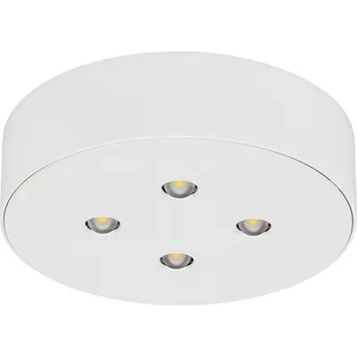 CEAG Notl. Sicherheitsleuchte 3514 LED CG-S