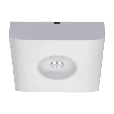 CEAG LED-Sicherheitsleuchte GuideLed SL 13012.2 CG-S 40071356732 | Deckenanbau | 3,9W 300lm 4000K | IP41 IK03 | weiß