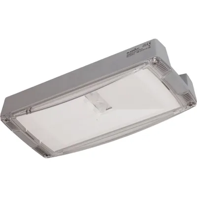 CEAG Sicherheitsleuchte LED CG-S 5W 6500K 220lm | IP65 IK10 | Deckenanbau | Zentralbatterie | Aluminium Grau