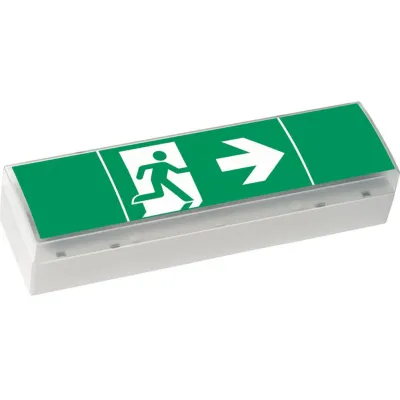 CEAG LED-Sicherheitsleuchte | 3h Notlicht | 17m Reichweite | Einzelbatterie | IP41 | grau