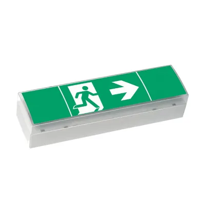 CEAG LED-Sicherheitsleuchte | SV EURO 4L | 3h Notleuchte | Deckenmontage | 17m Reichweite | IP41