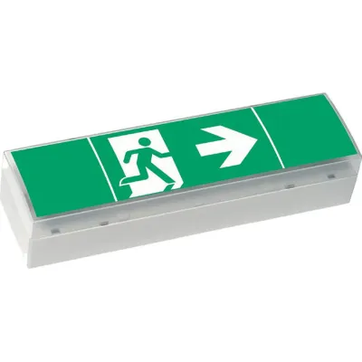 CEAG LED-Sicherheitsleuchte | SV EURO 4L | 3h Notleuchte | Deckenmontage | 17m Reichweite | IP41