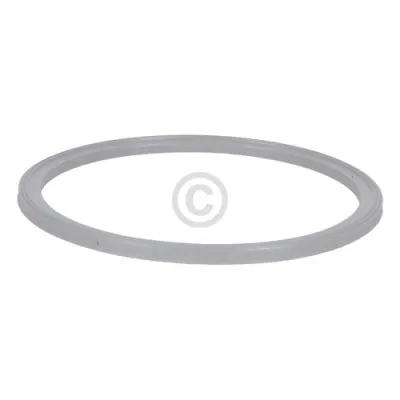 Dichtung 12002914