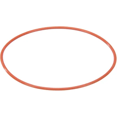 Dichtung-Begrenzer 00189317