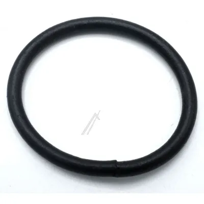 Dichtung-Begrenzer 10004094