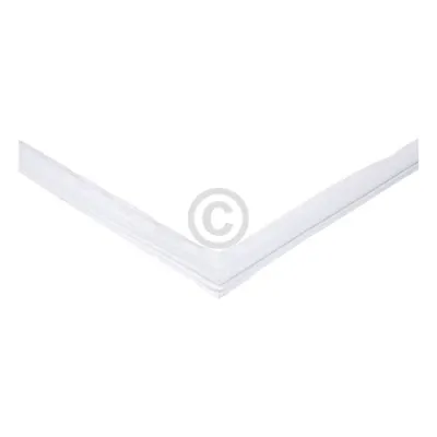 Dichtung f. Türkühlschrank (673x478) W
