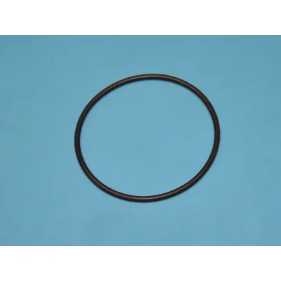 Dichtungsring für Kühlschrank Hisense/Gorenje 7000437 Türdichtung